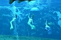 Kids_WeekiWachee-Mermaids (4)